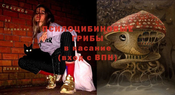 амф Беломорск