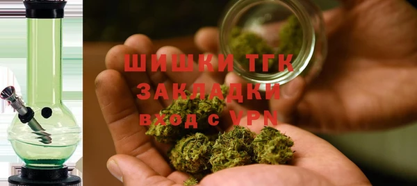 сатива Белокуриха