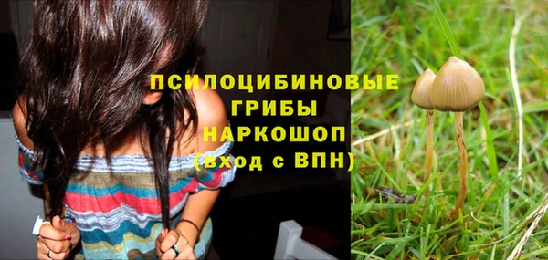 амф Беломорск