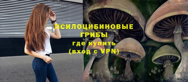 таблы Богданович