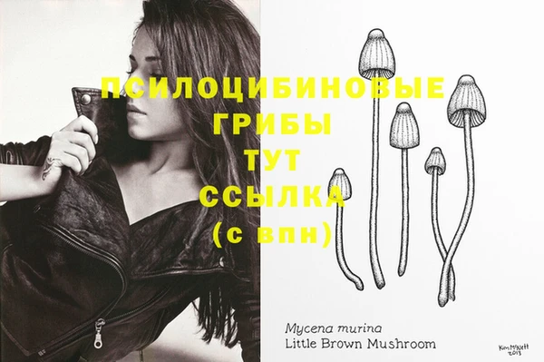 мдма Богородицк
